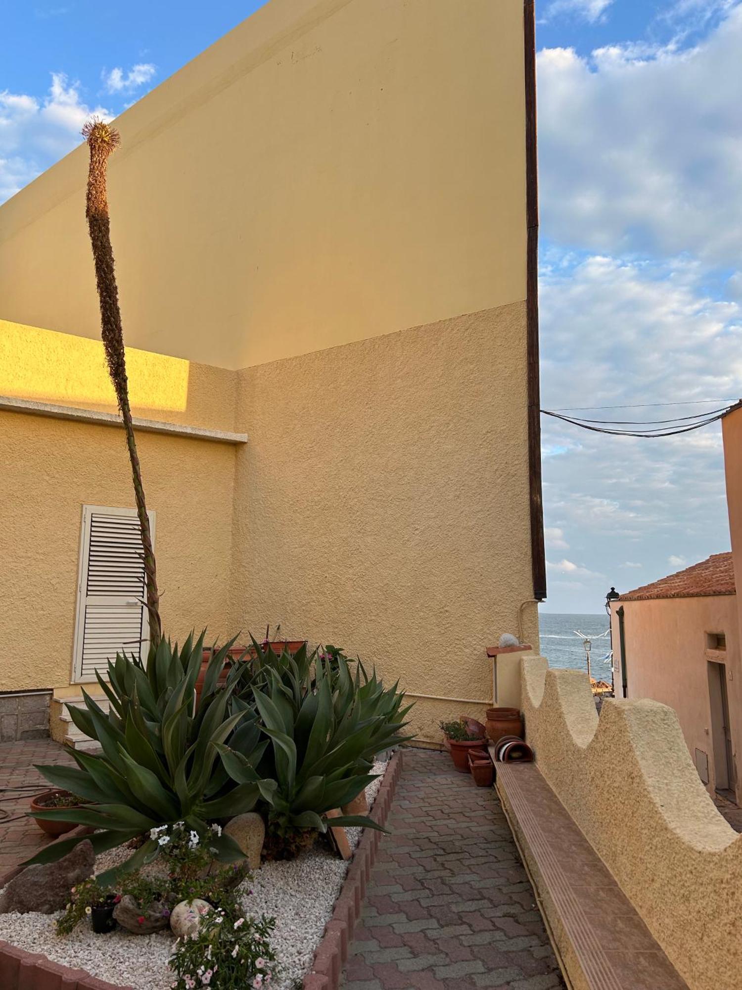 Casa Euphorbia *
