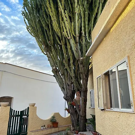 Casa Euphorbia Villa Portoscuso Exterior photo
