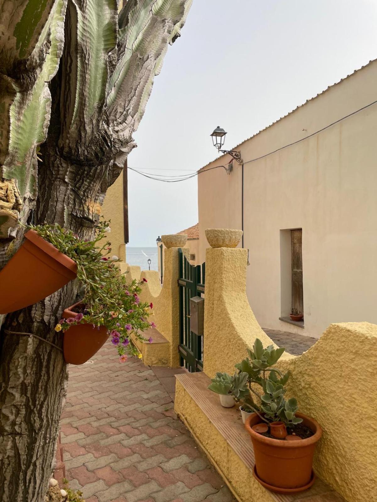 Casa Euphorbia