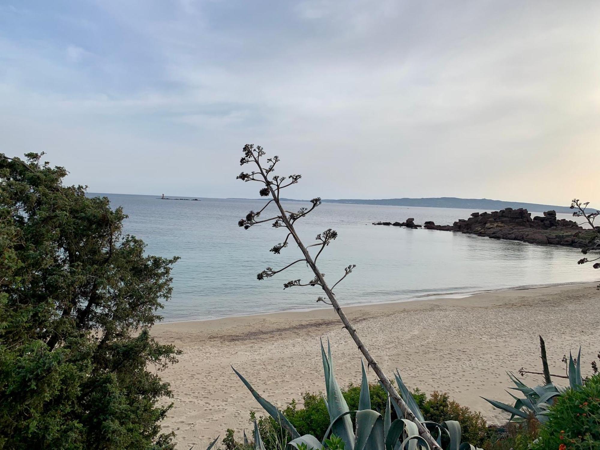 Casa Euphorbia Ferienhaus Portoscuso